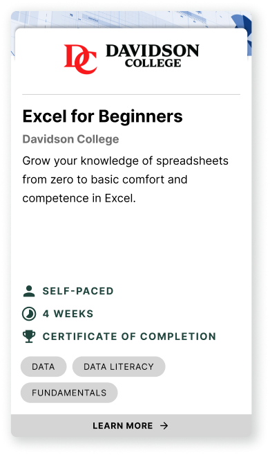 DavidsonX: Excel for Beginners